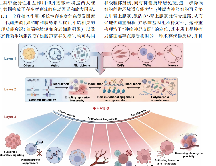 图6 基于ECDS框架的肿瘤特征三层级重构模型